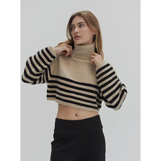Jazlyn Turtle Neck Sweater