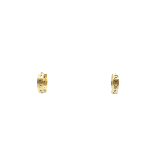 Christian Dior Earrings