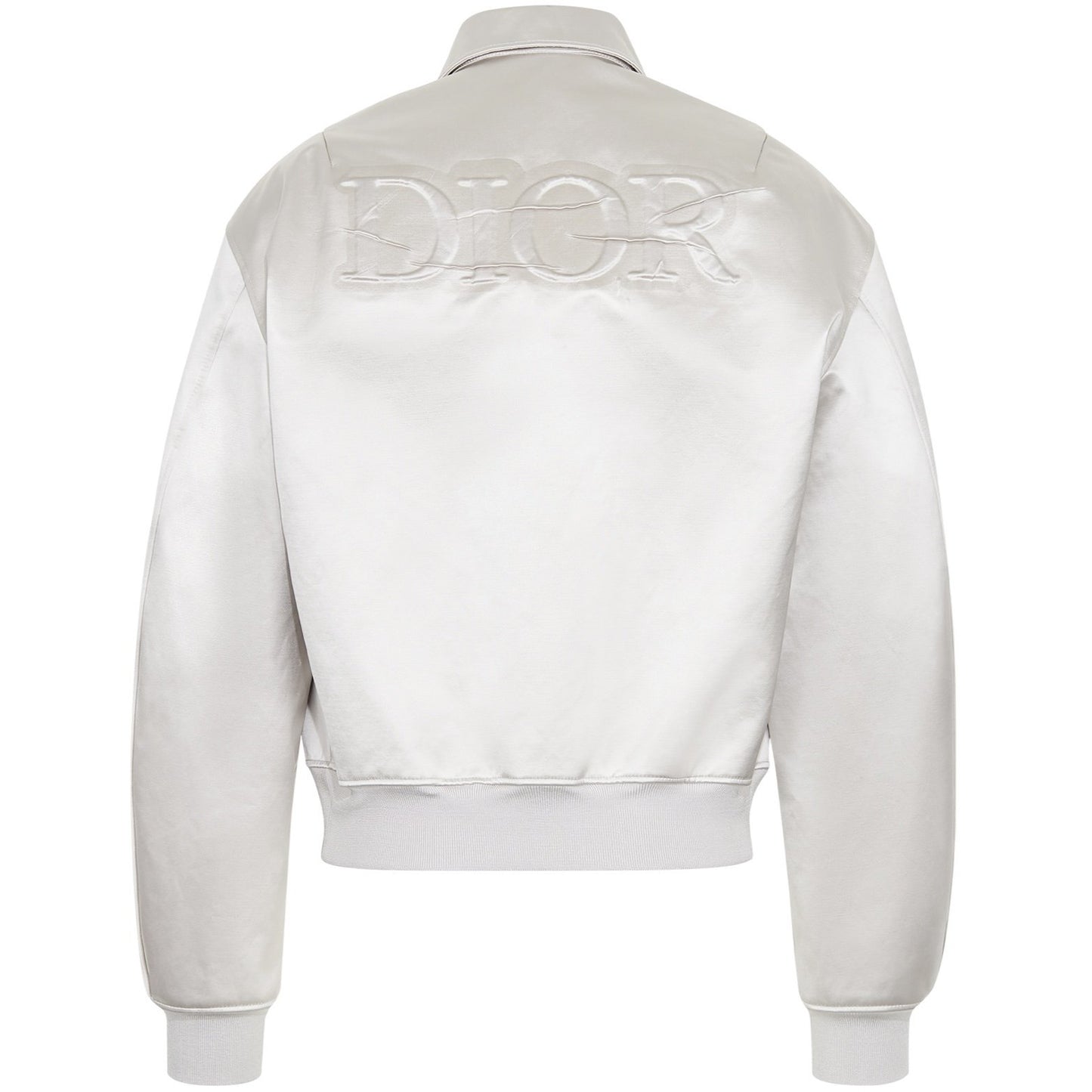 Dior "Daniel Arsham" Logo Bomber